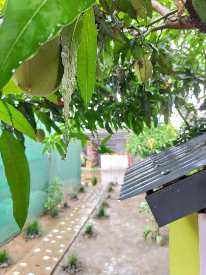 Stargaze Backpackers Hostel Guwahati Esterno foto